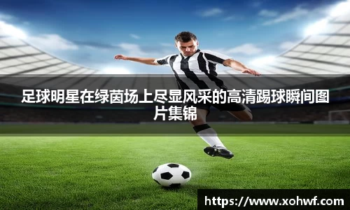 足球明星在绿茵场上尽显风采的高清踢球瞬间图片集锦